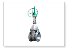 SS types of valves manufacturers